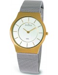 Skagen 233LGS Mens Steel Chrome Gold Watch