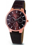 Skagen 331XLRLD Mens Multifunction Brown Watch