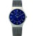 Skagen Mens Blue Grey Watch